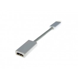6 inch HDMI female to mini DVI adapter-white